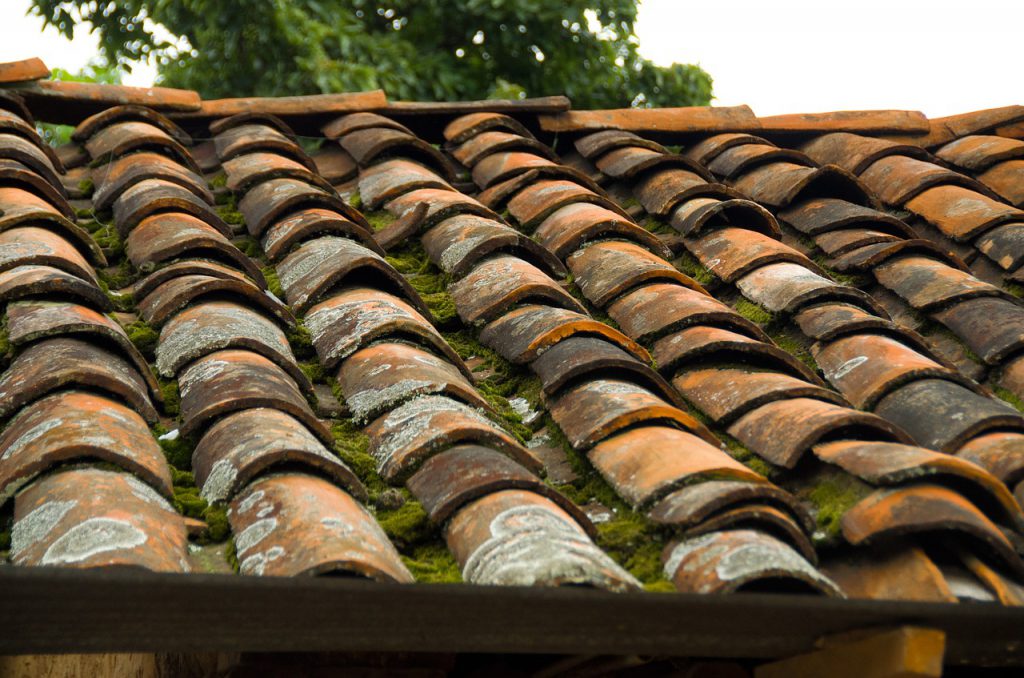 Entretenir sa toiture au bord de la mer