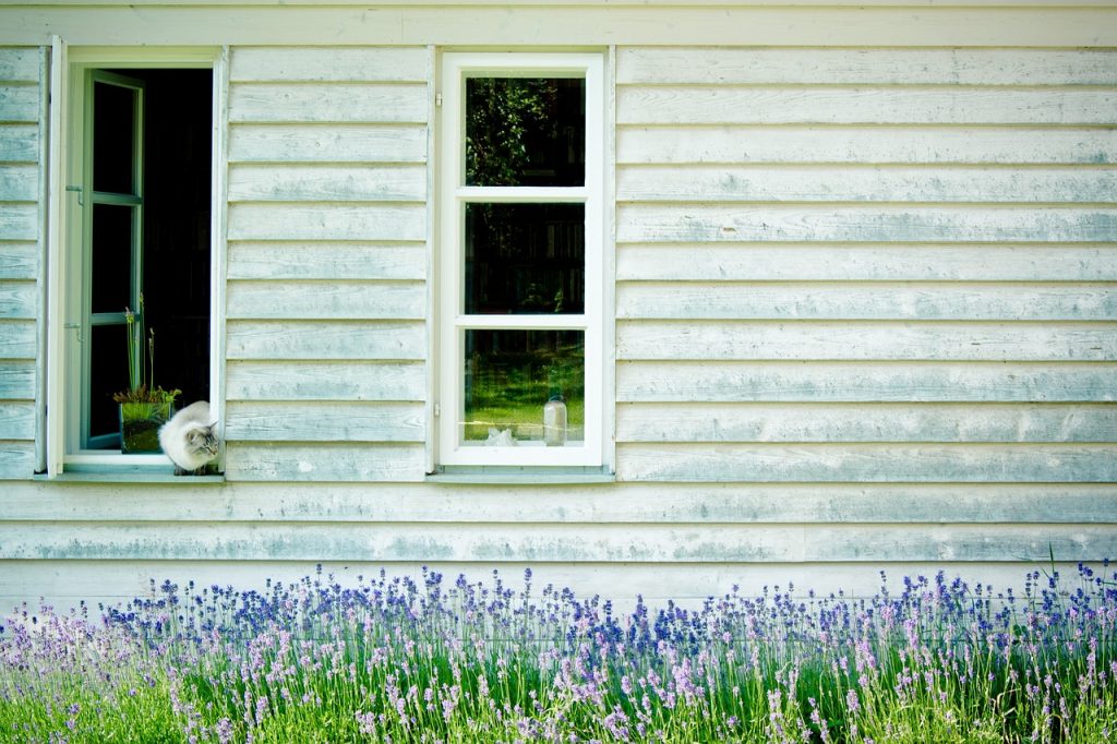 façade d'une maison en bois peinte dans une couleur claire